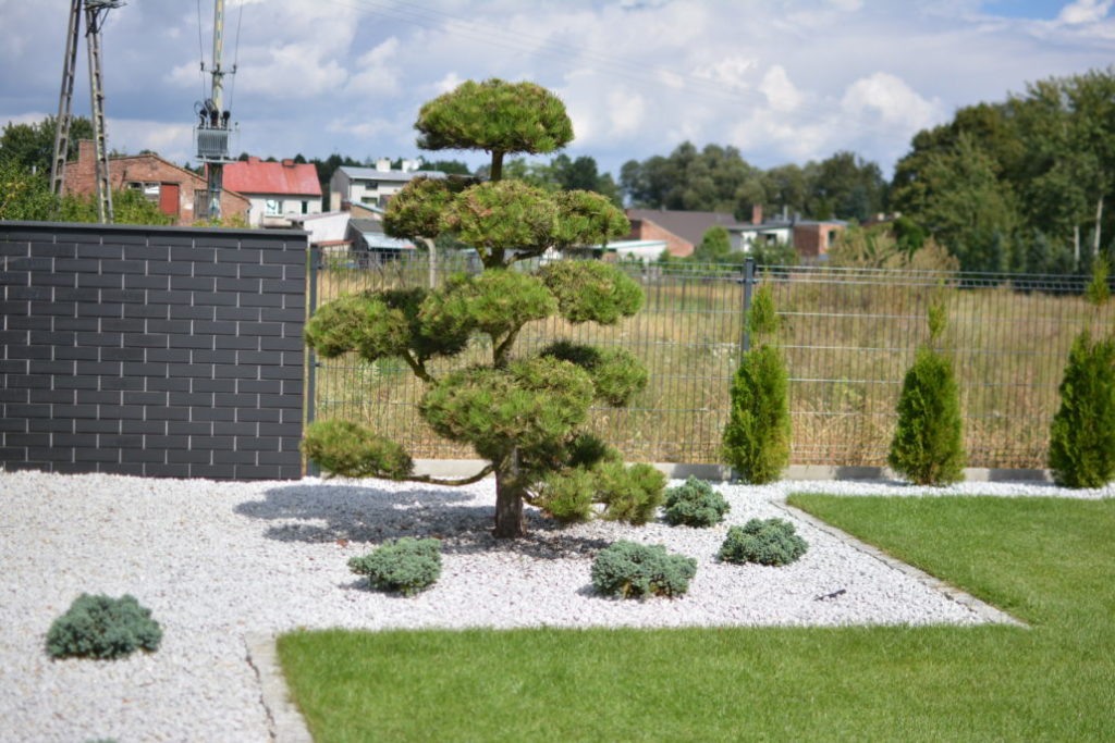 nowoczesne ogrody